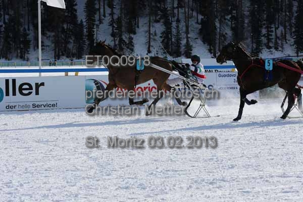 ET0Q0918 prot